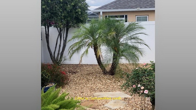 uploads/property/5681/5681_47d7289991284b68bb52287d85051461.jpg