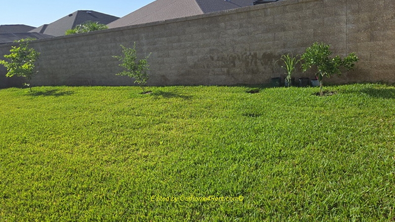 uploads/property/9885/9885_6fd71104ac81498ca3d390bde2d80cf0.jpg